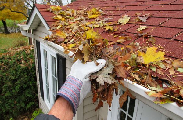 Rain Gutter Cleaning Service in Layton