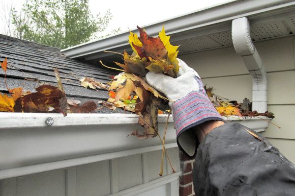 Roof Gutter Cleaning in Layton