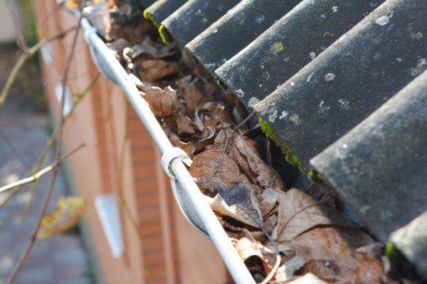 Home Gutter Cleaning in Layton