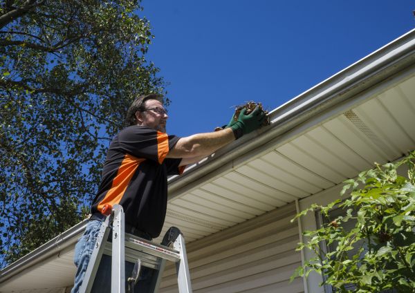 Eavestrough Clearing in Layton