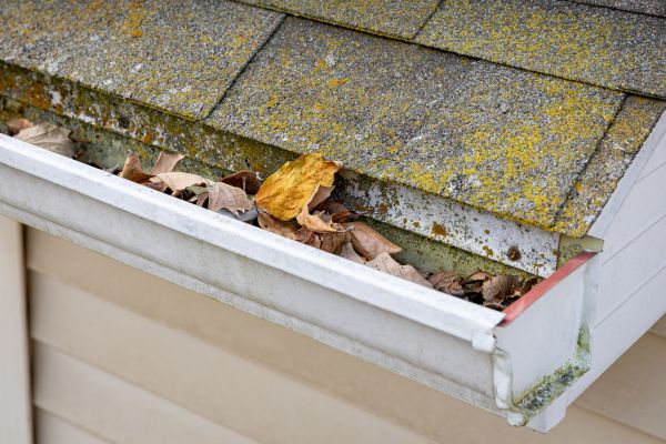 Garage Gutter Cleaning in Layton