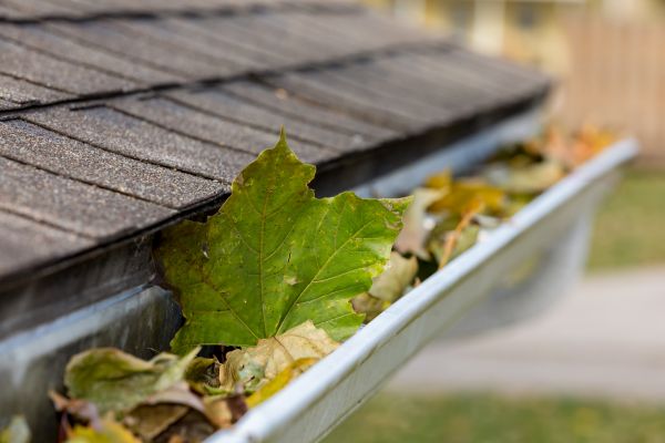 Gutter Leaves Removal in Layton